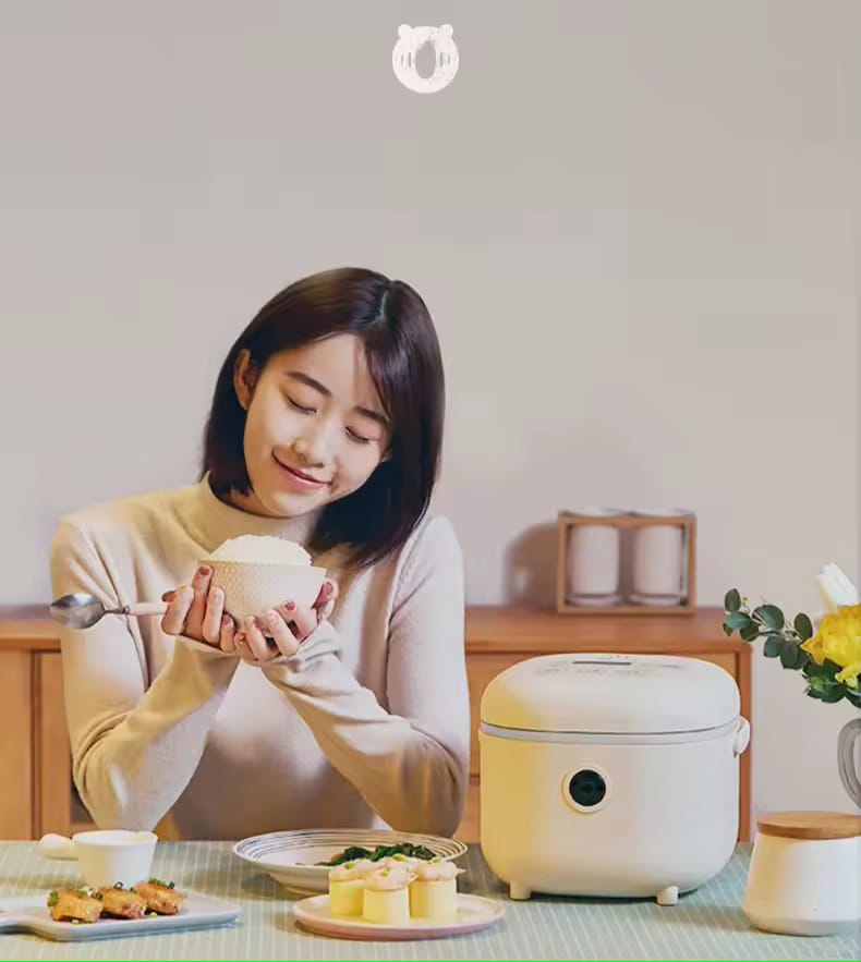 Little Bear Smart Rice Cooker - Microcomputer Control (2L/3L) | Perfect Rice Every Time